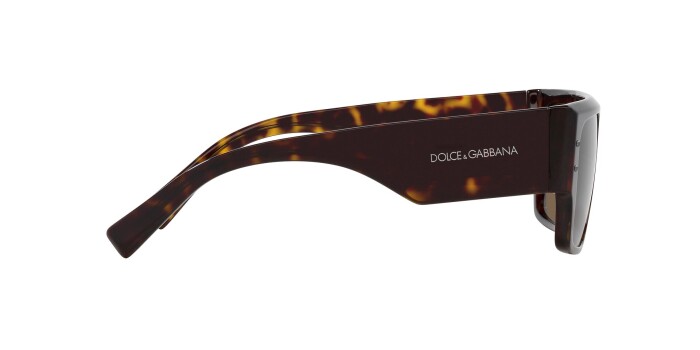 Dolce & Gabbana DG 4459 502/73 56 Unisex Güneş Gözlüğü - 9