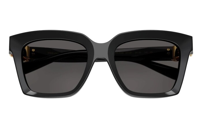 DOLCE&GABBANA DG 4498 501/87 55 Kadın Güneş Gözlüğü - 4