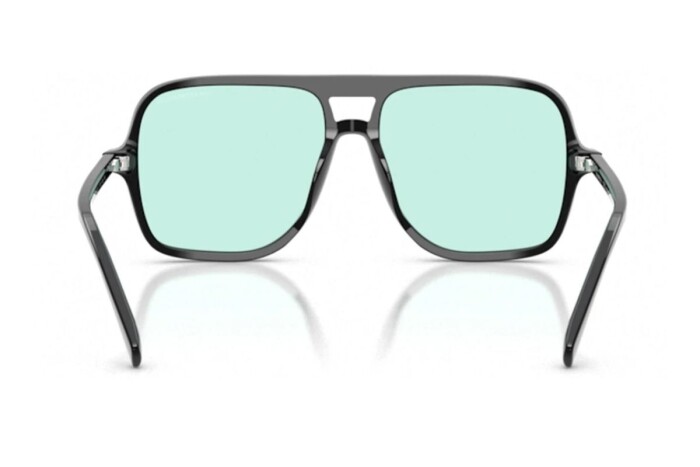 EMPORIO ARMANI EA 4252U 501765 57 Unisex Güneş Gözlüğü - 4