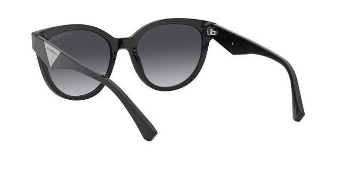 EMPORIO ARMANI EA 4140 50018G 55 Unisex Çekik Güneş Gözlüğü - 5