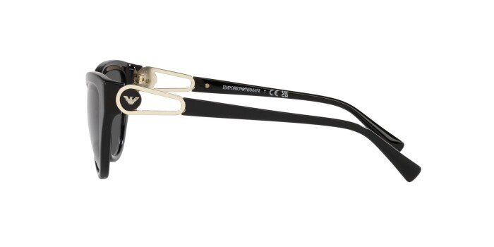 Emporio Armani EA 4192 501787 57 Kadın Güneş Gözlüğü - 3