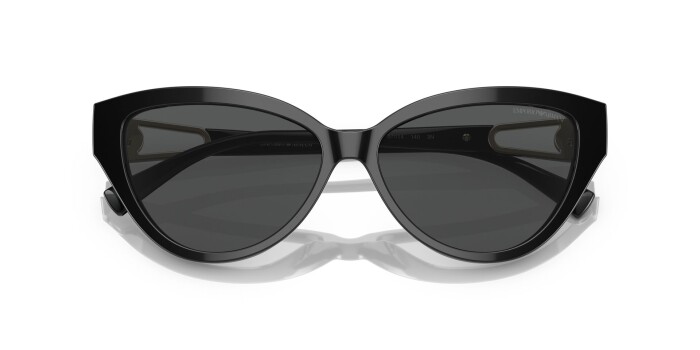 Emporio Armani EA 4192 501787 57 Kadın Güneş Gözlüğü - 13