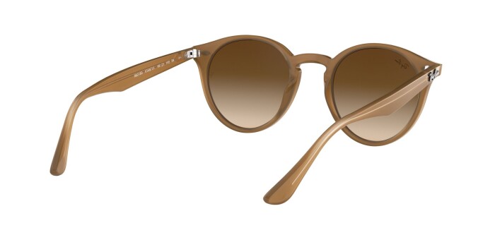 RAY-BAN RB 2180 616613 49 Erkek Yuvarlak Güneş Gözlüğü - 20