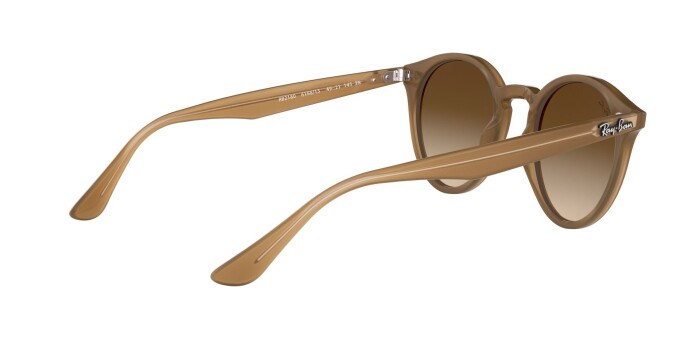 RAY-BAN RB 2180 616613 49 Erkek Yuvarlak Güneş Gözlüğü - 19