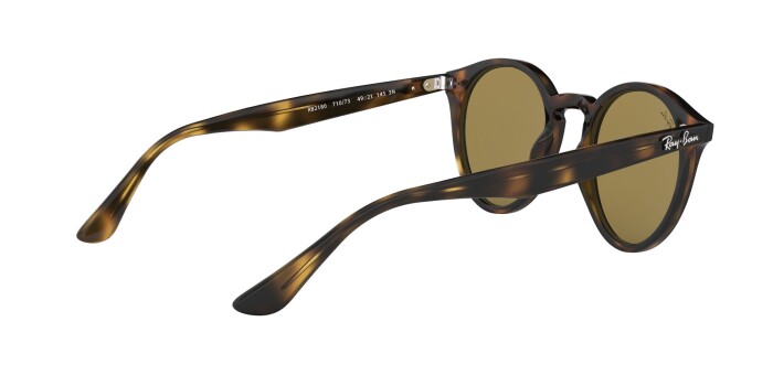 RAY-BAN RB 2180 710/73 49 Kadın Yuvarlak Güneş Gözlüğü - 8