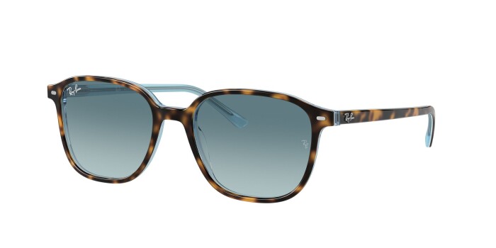 RAY-BAN RB 2193 13163M 53 LEONARD Kadın Köşeli Güneş Gözlüğü - 1