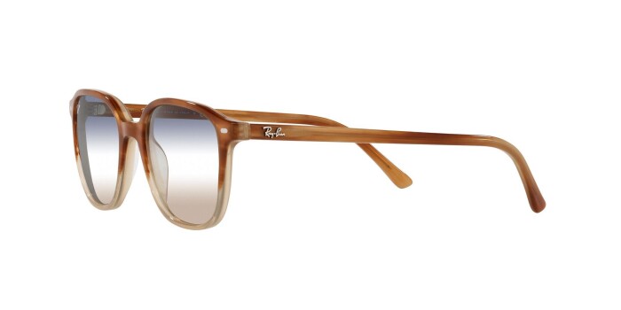 Ray-Ban RB 2193 1328GD 53 LEONARD Unisex Güneş Gözlüğü - 2