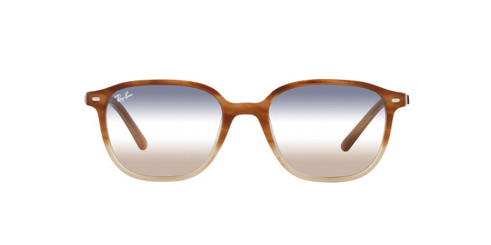 Ray-Ban RB 2193 1328GD 53 LEONARD Unisex Güneş Gözlüğü - 7