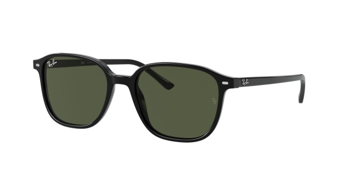 RAY-BAN RB 2193 901/31 53 LEONARD Unisex Oval Güneş Gözlüğü - 1