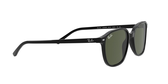 RAY-BAN RB 2193 901/31 53 LEONARD Unisex Oval Güneş Gözlüğü - 10