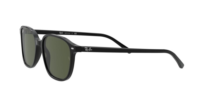 RAY-BAN RB 2193 901/31 53 LEONARD Unisex Oval Güneş Gözlüğü - 2