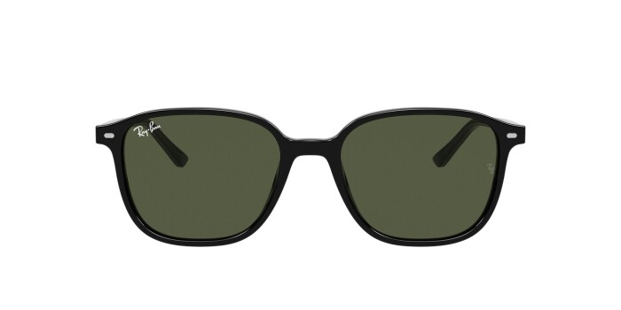 RAY-BAN RB 2193 901/31 53 LEONARD Unisex Oval Güneş Gözlüğü - 12