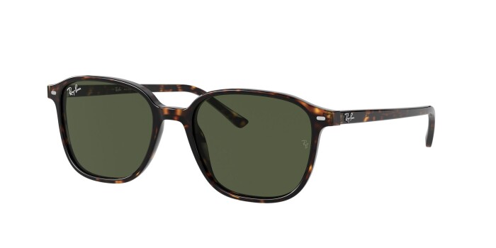 RAY-BAN RB 2193 902/31 53 LEONARD Kadın Oval Güneş Gözlüğü - 1