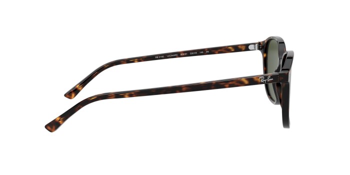 RAY-BAN RB 2193 902/31 53 LEONARD Kadın Oval Güneş Gözlüğü - 9