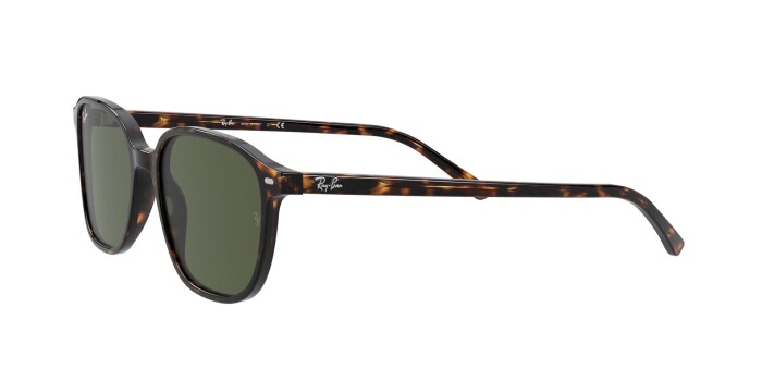 RAY-BAN RB 2193 902/31 53 LEONARD Kadın Oval Güneş Gözlüğü - 2