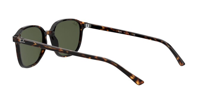 RAY-BAN RB 2193 902/31 53 LEONARD Kadın Oval Güneş Gözlüğü - 4