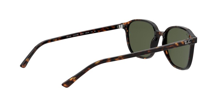 RAY-BAN RB 2193 902/31 53 LEONARD Kadın Oval Güneş Gözlüğü - 8