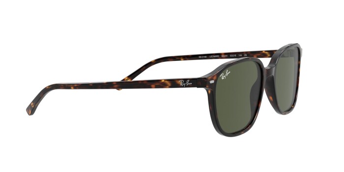 RAY-BAN RB 2193 902/31 53 LEONARD Kadın Oval Güneş Gözlüğü - 10