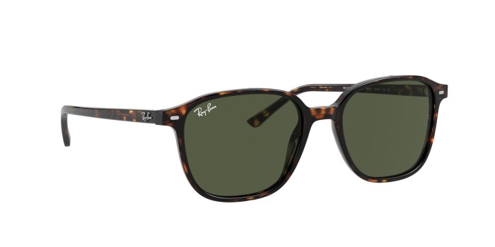 RAY-BAN RB 2193 902/31 53 LEONARD Kadın Oval Güneş Gözlüğü - 11