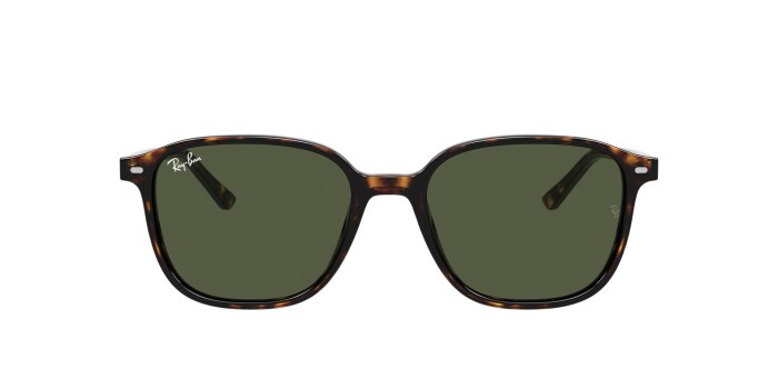 RAY-BAN RB 2193 902/31 53 LEONARD Kadın Oval Güneş Gözlüğü - 12