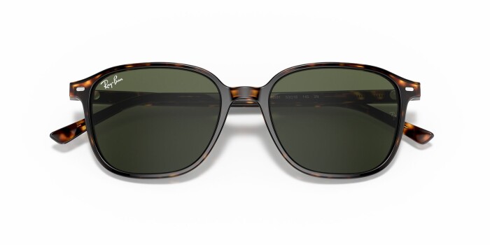 RAY-BAN RB 2193 902/31 53 LEONARD Kadın Oval Güneş Gözlüğü - 13