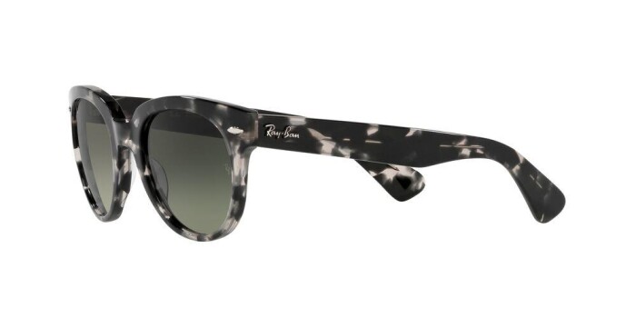 RAY-BAN RB 2199 133371 52 ORION Unisex Yuvarlak Güneş Gözlüğü - 2