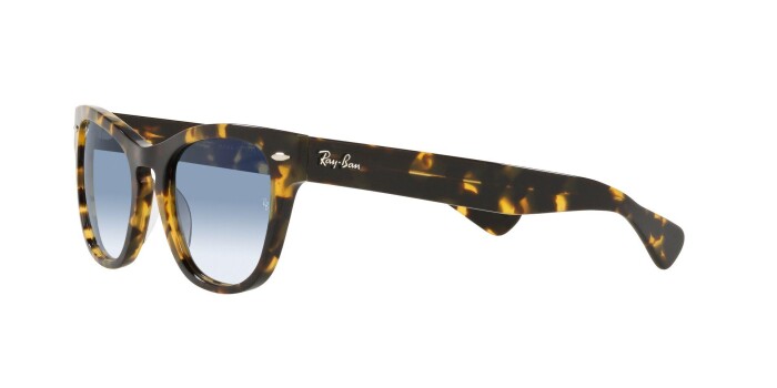 RAY-BAN RB 2201 13323F 54 LARAMIE Unisex Köşeli Güneş Gözlüğü - 2