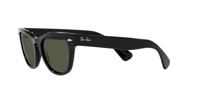 RAY-BAN RB 2201 901/31 54 LARAMIE Unisex Oval Güneş Gözlüğü - 2