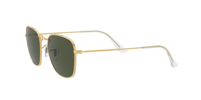 RAY-BAN RB 3857 919631 48 FRANK Unisex Yuvarlak Güneş Gözlüğü - 2