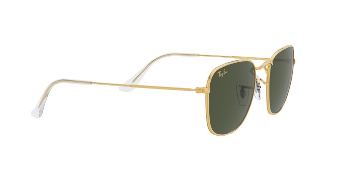 RAY-BAN RB 3857 919631 48 FRANK Unisex Yuvarlak Güneş Gözlüğü - 10