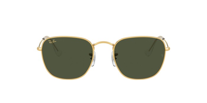 RAY-BAN RB 3857 919631 48 FRANK Unisex Yuvarlak Güneş Gözlüğü - 12