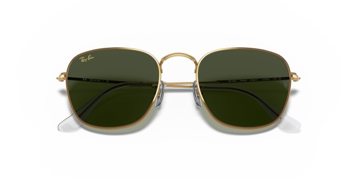 RAY-BAN RB 3857 919631 48 FRANK Unisex Yuvarlak Güneş Gözlüğü - 13