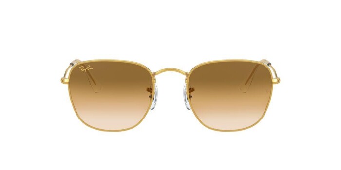 RAY-BAN RB 3857 919651 48 FRANK Unisex Damla Güneş Gözlüğü - 7