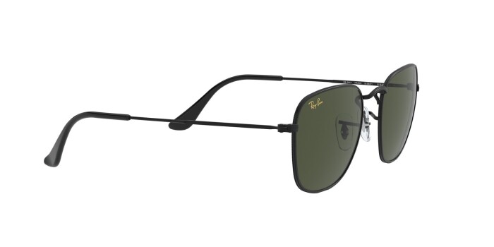 RAY-BAN RB 3857 919931 48 FRANK Unisex Yuvarlak Güneş Gözlüğü - 10