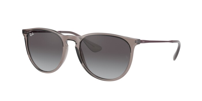 RAY-BAN RB 4171 65138G 54 ERIKA CLASSIC Unisex Çekik Güneş Gözlüğü - 1