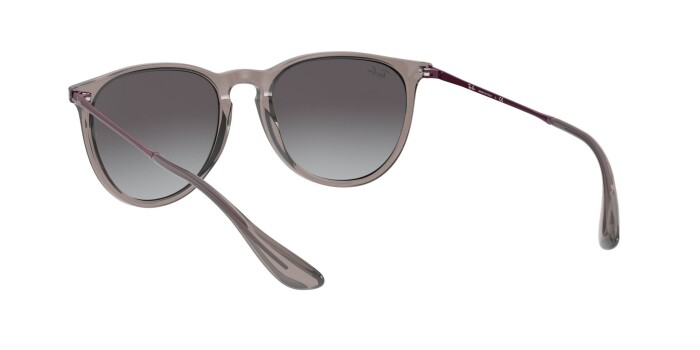 RAY-BAN RB 4171 65138G 54 ERIKA CLASSIC Unisex Çekik Güneş Gözlüğü - 5