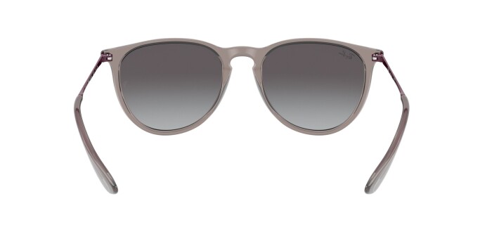 RAY-BAN RB 4171 65138G 54 ERIKA CLASSIC Unisex Çekik Güneş Gözlüğü - 6