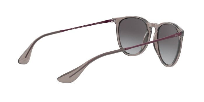 RAY-BAN RB 4171 65138G 54 ERIKA CLASSIC Unisex Çekik Güneş Gözlüğü - 8