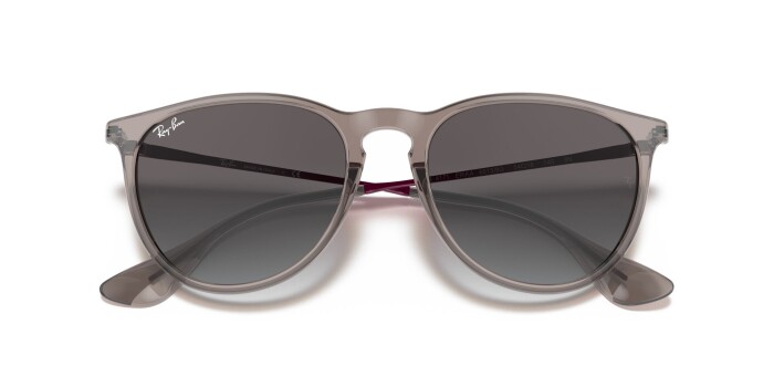 RAY-BAN RB 4171 65138G 54 ERIKA CLASSIC Unisex Çekik Güneş Gözlüğü - 13