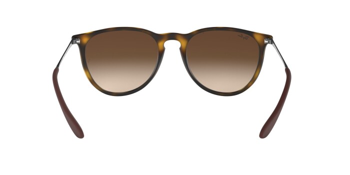 RAY-BAN RB 4171 865/13 54 ERIKA CLASSIC Unisex Yuvarlak Güneş Gözlüğü - 6