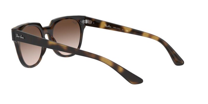 RAY-BAN RB 4368N 710/13 39 BLAZE METEOR Kadın Çekik Güneş Gözlüğü - 4