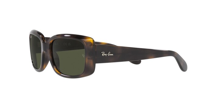 Ray-Ban RB 4389 710/31 55 Unisex Güneş Gözlüğü - 2