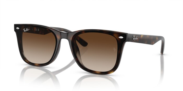 Ray-Ban RB 4420 710/13 65 Unisex Güneş Gözlüğü - 1