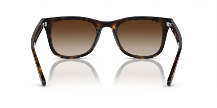 Ray-Ban RB 4420 710/13 65 Unisex Güneş Gözlüğü - 3