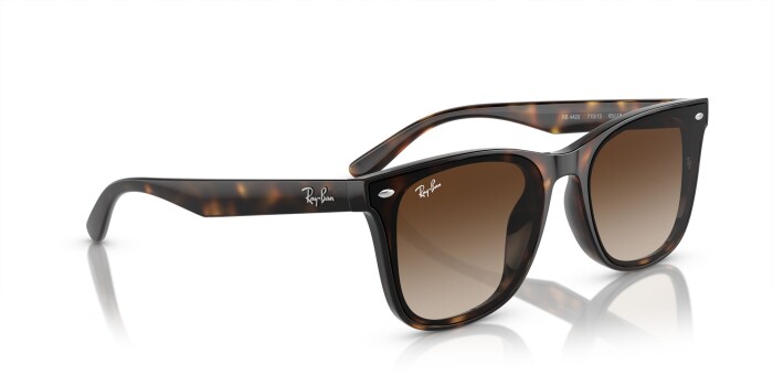 Ray-Ban RB 4420 710/13 65 Unisex Güneş Gözlüğü - 4