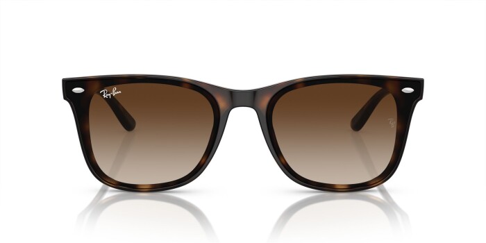 Ray-Ban RB 4420 710/13 65 Unisex Güneş Gözlüğü - 5