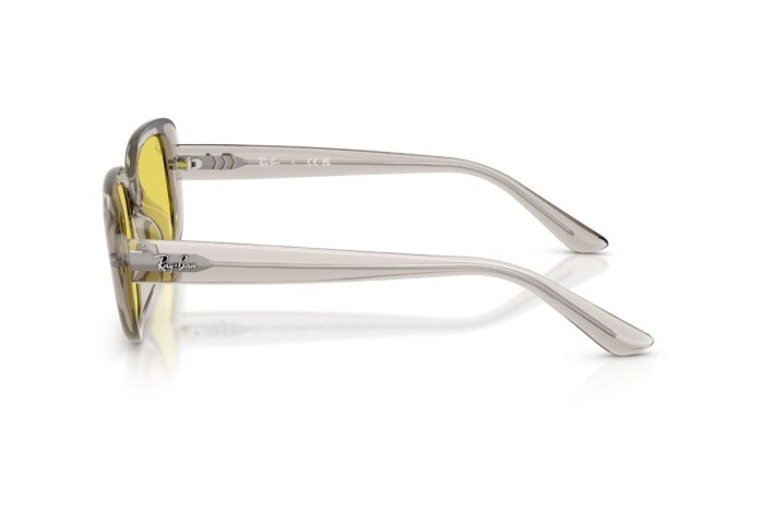 RAY-BAN RB 4421D 681885 56 Unisex Güneş Gözlüğü - 3