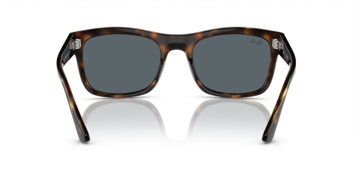 Ray Ban RB 4428 710/R5 56 Unisex Güneş Gözlüğü - 3