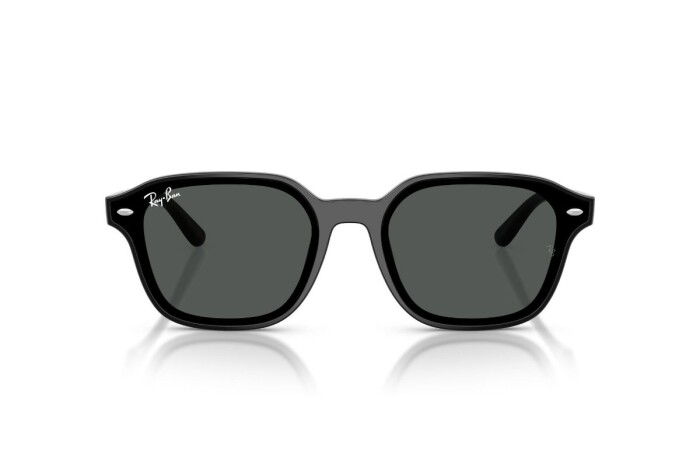 RAY-BAN RB 4458D 601/87 65 Unisex Güneş Gözlüğü - 4