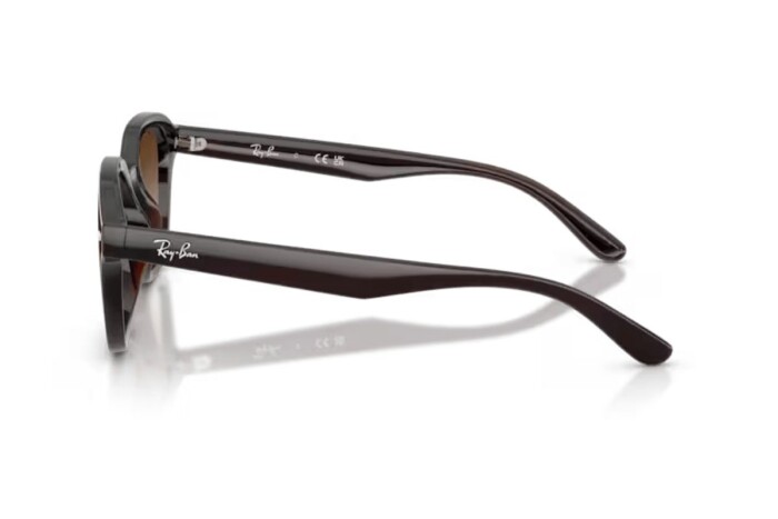 RAY-BAN RB 4458D 714/13 65 Unisex Güneş Gözlüğü - 3